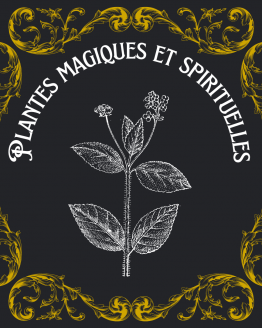 Plantes magiques et spirituelles
