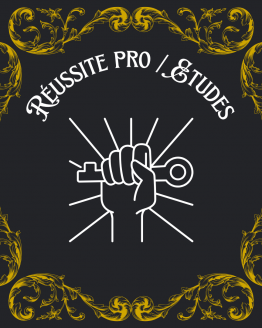 Réussite Pro / Études