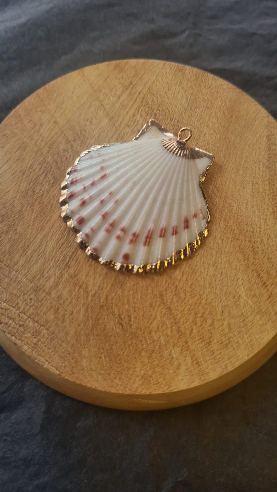 Pendentif coquille saint Jacques