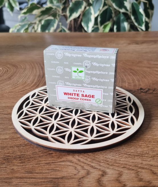 Encens Satya White Sage