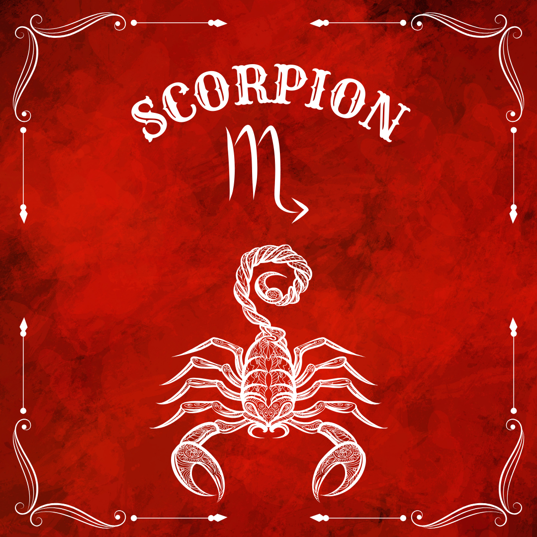 Scorpion