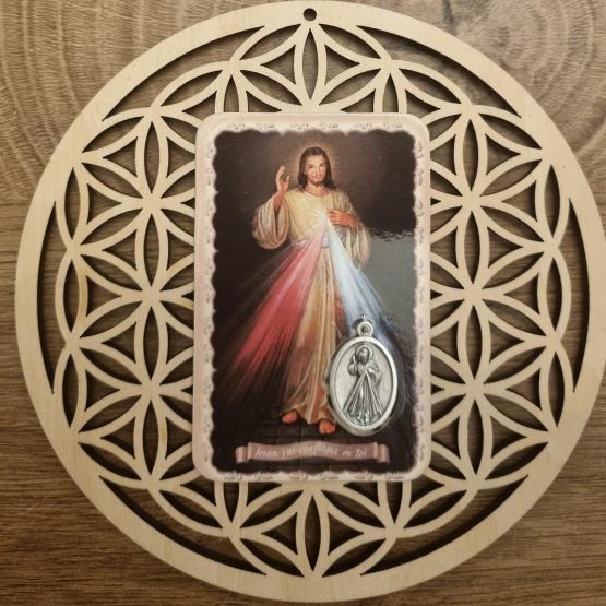 Carte de prière + médaille Christ Miséricordieux