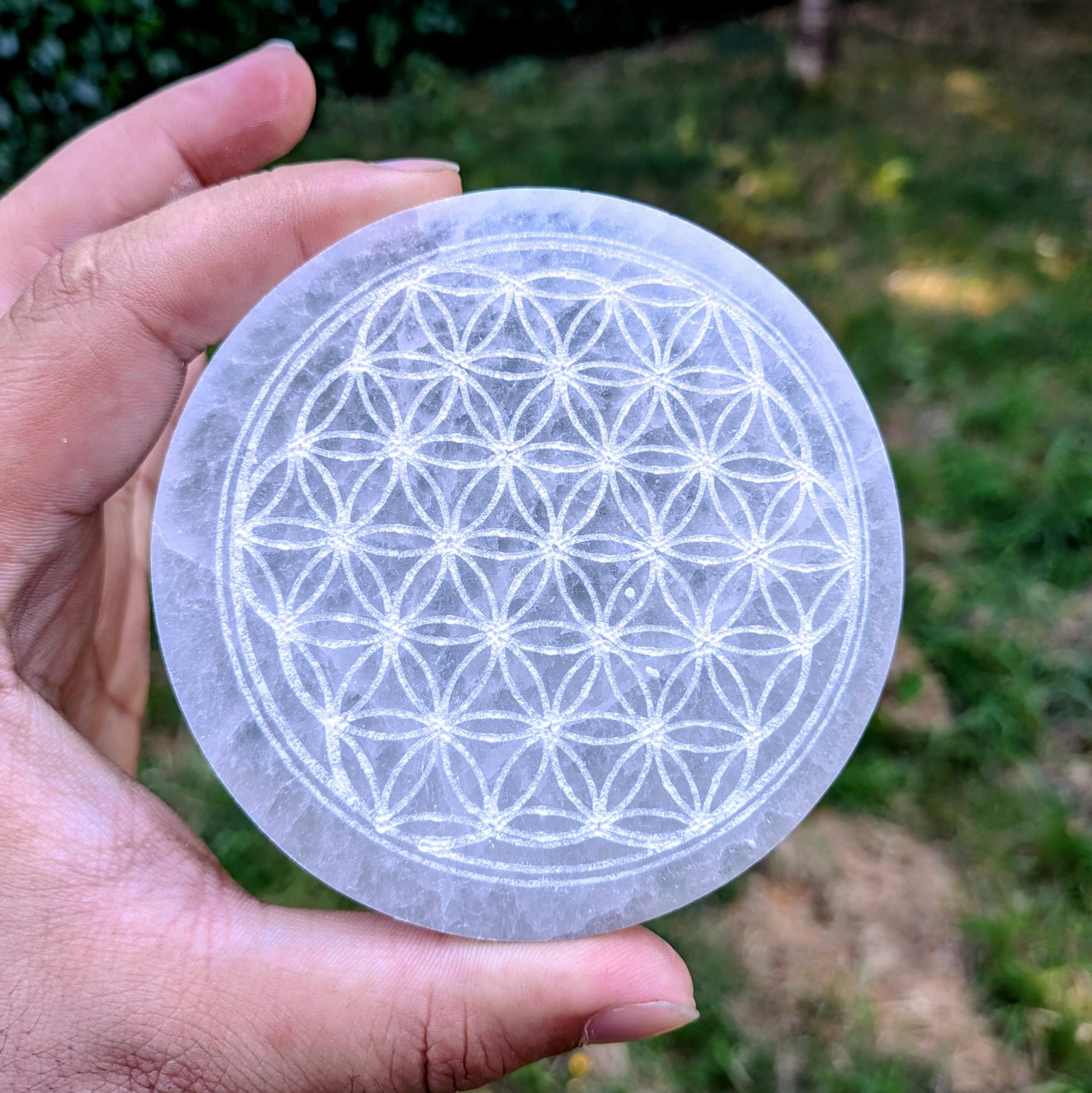 selenite_plaque_fleur_de_vie selenite_plaque_fleur_de_vie