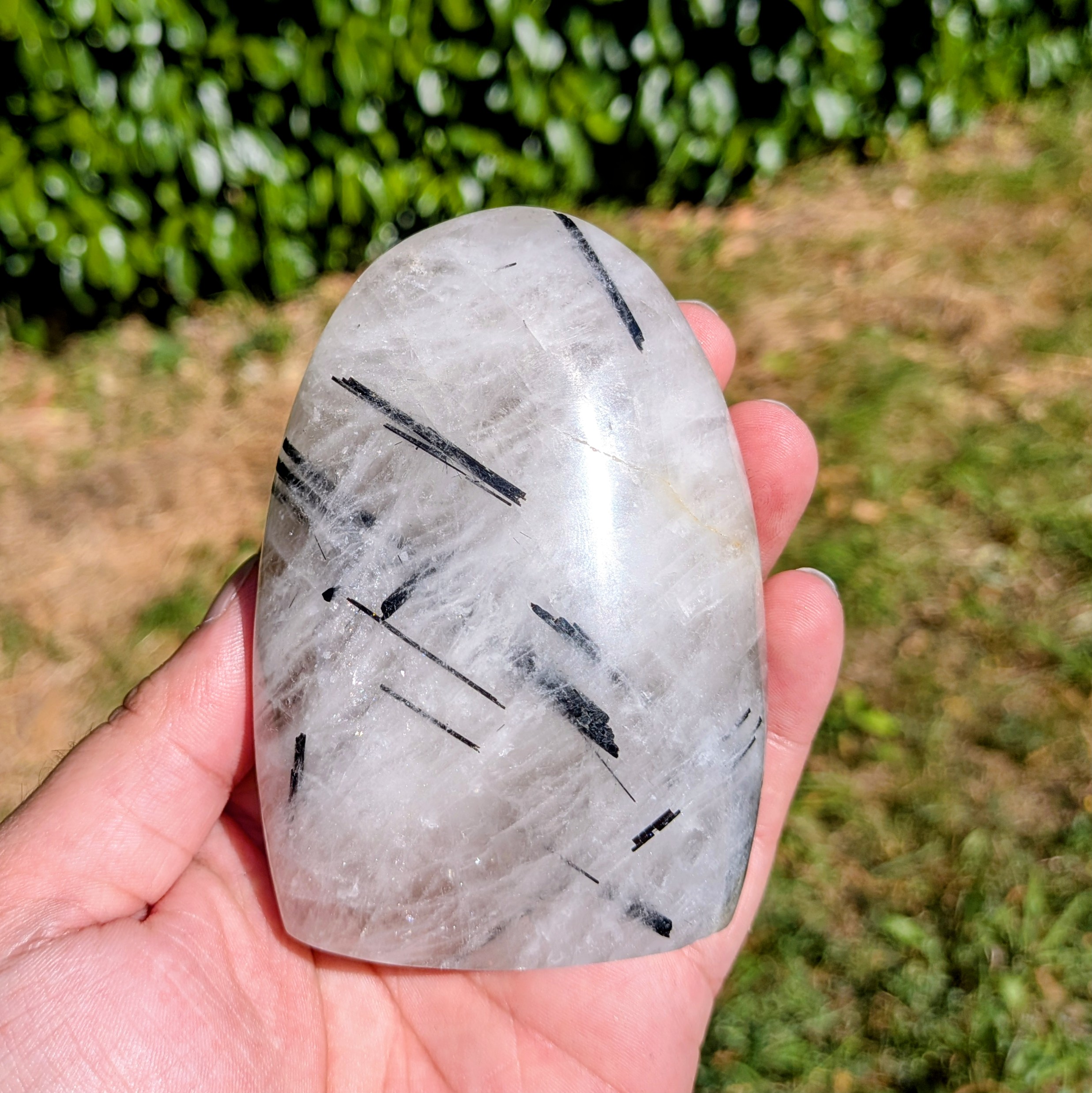 quartz_tourmaline_qt328